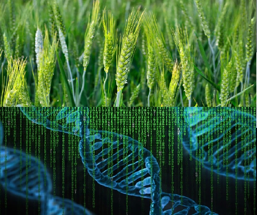 Journal of Applied and Integrative Biology